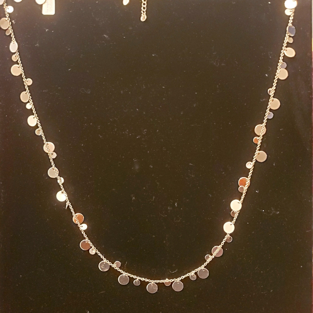 20% off w/purchase 3 items.  Silver shiny necklace